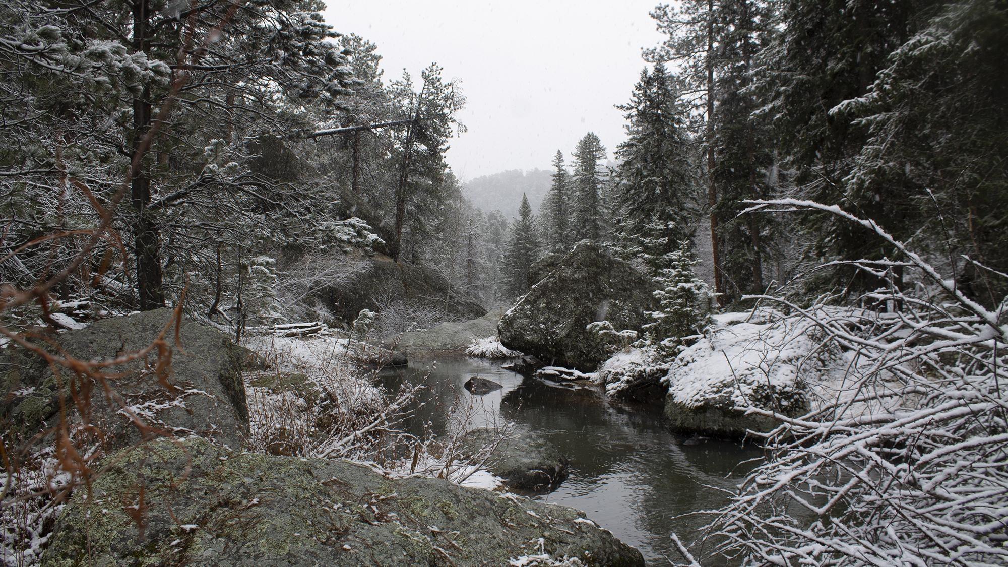 Grizzly hotsell creek campground